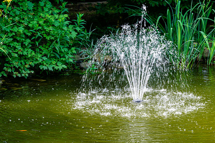 Fountain