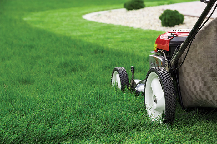 Lawn mower cutting grass