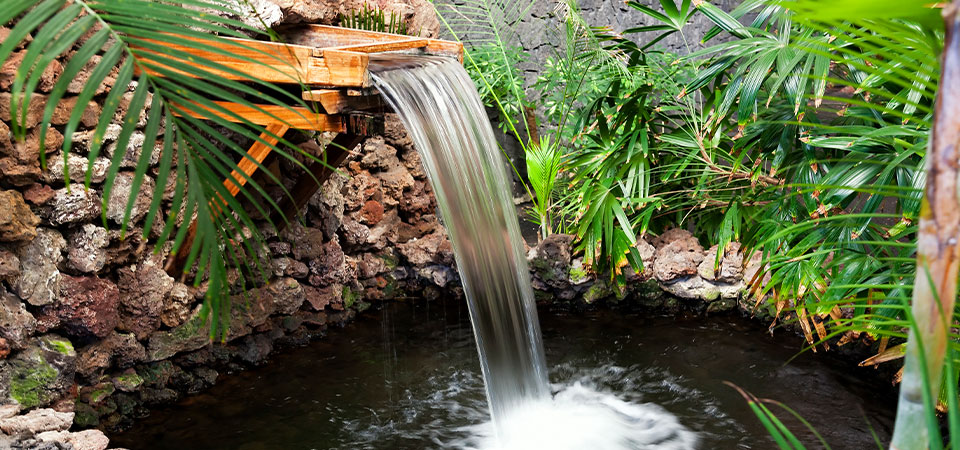 Pond with waterfall